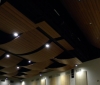 Acoustic Ceiling